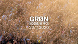 Locker Esbjerg 23. july (GRØN 2026) image 1